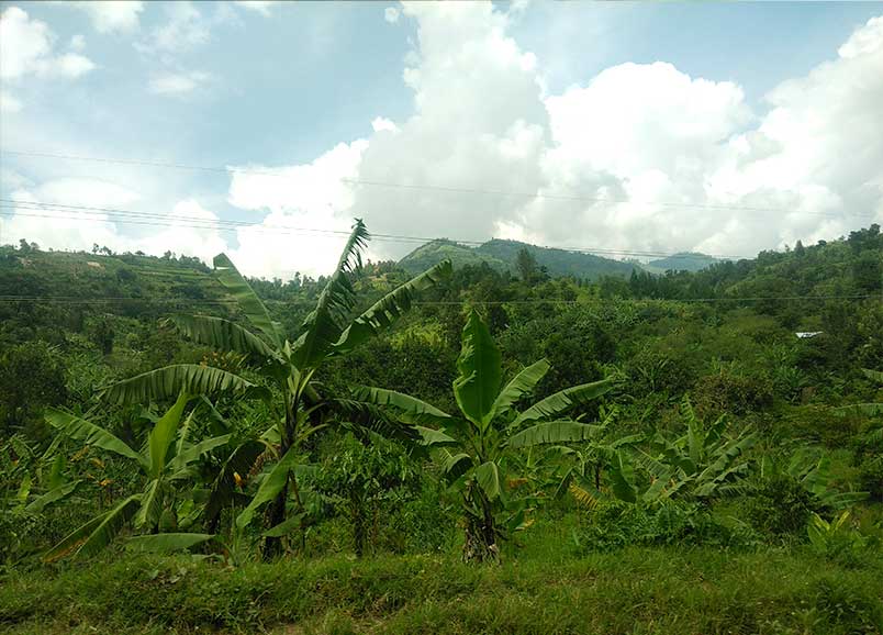 Uganda featured image