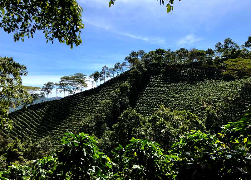 colombia trip featured image